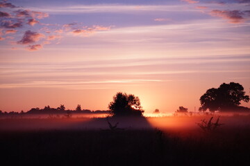 Sunrise over the field 