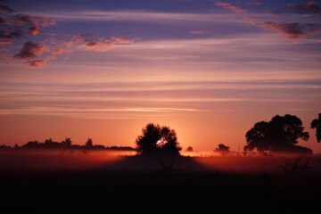 Sunrise over the field 
