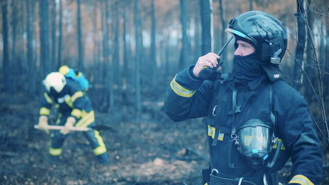 Firefighter, fireman, forest fire concept. Burnt-out forest with a fireman talking over the radio