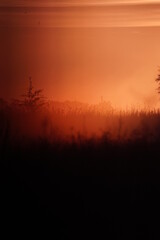 Sunrise over the field 