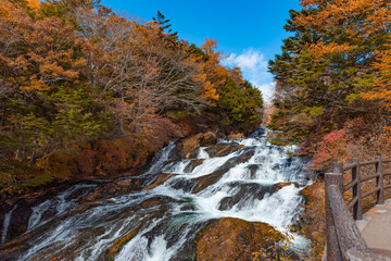 日光国立公園　紅葉した竜頭ノ滝