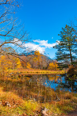 Obraz premium 日光国立公園 紅葉した泉門池