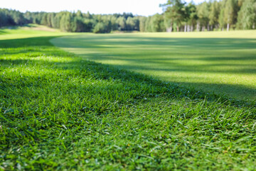 Fototapeta na wymiar Green grass. Background. Golf course, shadows from trees on the grass. High quality photo