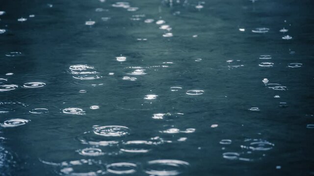 Slow motion of rain drops on water surface. 