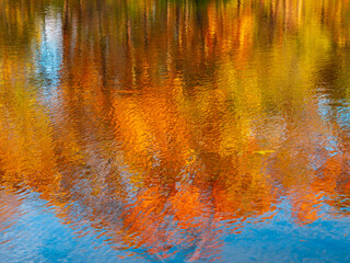 Autumn Reflected on Water