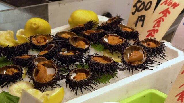 Slow motion of  famous golden egg urchin open and ready to eat on ice in Kyoto fish market. Fresh uni seafood from the Pacific ocean is a popular dish of Japan. Traditional Japanese food street.-Dan