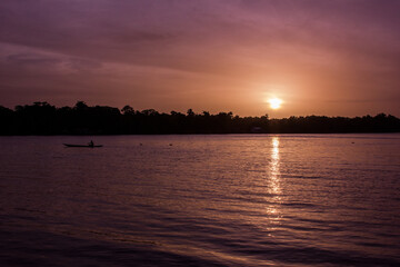 Transitando la selva II