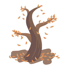 fall leaf for thanksgiving color illustration