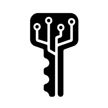 Digital key, crypto key vector icon illustration
