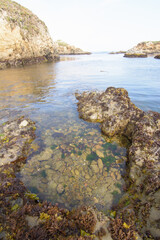 Rocky California coast line at low tide
