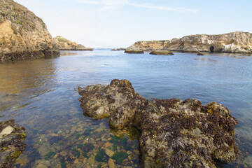 Rocky California coast line at low tide