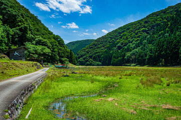 Fototapeta na wymiar Wetlands in Tai, Toyooka City, Hyogo Prefecture