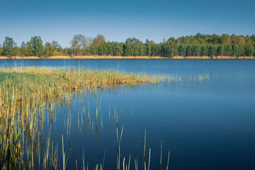 A small lake in Belarus at a sunny morning in spring