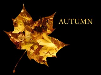 abstract autumn background, a frame in the shape of a maple leaf on a black background with copy space and the title Autumn