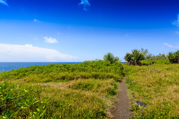 Path close to the sea, Reunion Island - obrazy, fototapety, plakaty