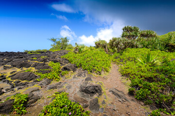 Typical landscape with volcanic rock, Reunion Island
