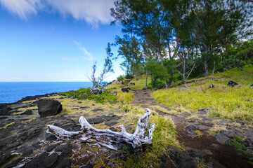 Typical landscape with volcanic rock, Reunion Island - obrazy, fototapety, plakaty