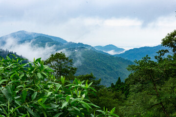 Obraz premium hills stations covered with clouds