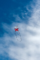 Colorful Kites flying over the sky