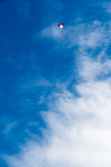 Colorful Kites flying over the sky
