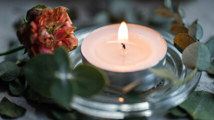 ユーカリとキャンドル