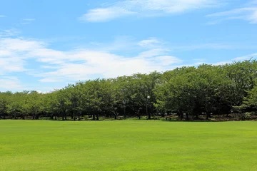 Papier peint photo  公園と芝生  © serena_v