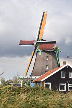 Windm&uuml;hle in Holland durch Schilf