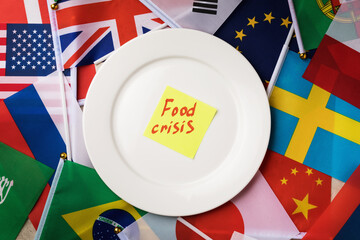 Sticker with text in a white plate on the background of the flags of different countries, the concept of the food crisis in the world