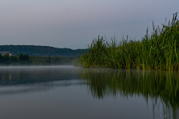 View of the river and reeds, cliff and forest in the background. Photo at the surface of the water, in a small reed pool. Rest, on the river, somewhere in Russia.