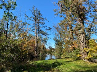 Early autumn landscape in parks and along recreational trails in the city of Zürich (Zuerich or Zurich), Wallisellen - Switzerland (Schweiz)