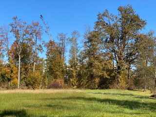 Early autumn landscape in parks and along recreational trails in the city of Zürich (Zuerich or Zurich), Wallisellen - Switzerland (Schweiz)