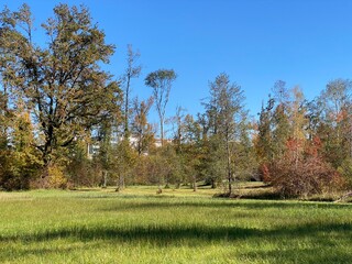 Early autumn landscape in parks and along recreational trails in the city of Zürich (Zuerich or Zurich), Wallisellen - Switzerland (Schweiz)