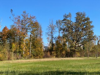 Early autumn landscape in parks and along recreational trails in the city of Zürich (Zuerich or Zurich), Wallisellen - Switzerland (Schweiz)