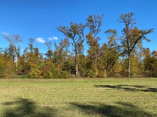 Early autumn landscape in parks and along recreational trails in the city of Zürich (Zuerich or Zurich), Wallisellen - Switzerland (Schweiz)