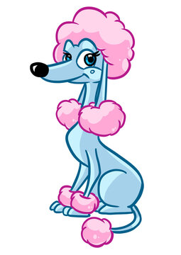 Cute poodle dog animal character illustration cartoon