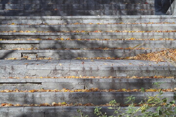 In the old Park. Photos of autumn leaves that have fallen and are lying on the stone surface. In shades of gray, yellow, and red.