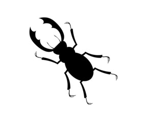 black silhouette of a horned beetle