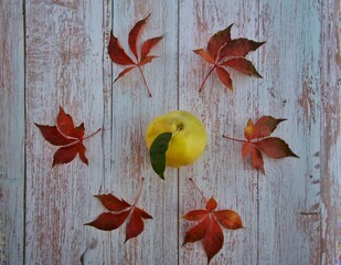 Fototapeta premium autumn leaves on wooden background
