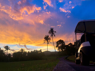 golf cart and palm tree silhouette on a sunset