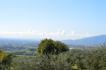  Beautiful landscape around Lucca in Tuscany 