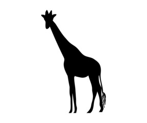 black giraffe silhouette