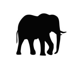 black elephant silhouette