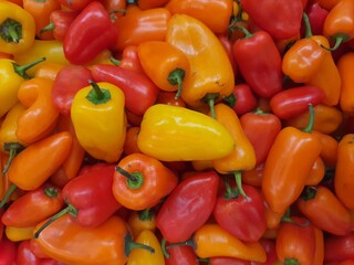 Mini peppers: yellow, orange, red. Capsicum annuum species .Full screen, backgrounds and textures.