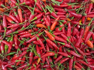 Cayenne pepper : many, full screen, backgrounds and textures.Cayenne pepper is a variety of Capsicum annuum. Rich in vitamins A, B and C, in addition to calcium and potassium.