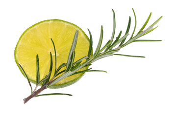 Rondelle de citron vert et brin de romarin en gros plan sur fond blanc