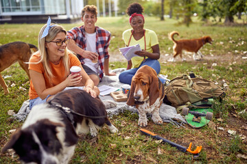 Group of students having picnic with their dogs