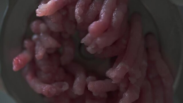 Meat grinder grinds raw meat. Making forcemeat from fresh meat at home. Close up. No people