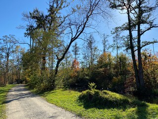 Recreational and hiking trails in early autumn along the Glatt River and in the Zürich (Zuerich or Zurich) Gebiet area (Grindel Gebiet), Wallisellen - Switzerland