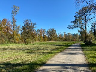 Recreational and hiking trails in early autumn along the Glatt River and in the Zürich (Zuerich or Zurich) Gebiet area (Grindel Gebiet), Wallisellen - Switzerland