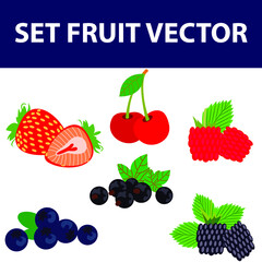 set of fruit summer berry candy design vector